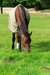 Similar image 21987301