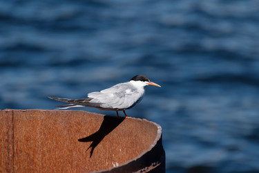 Similar image 21987368