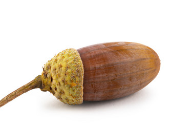 Similar image 21987546