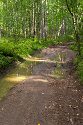 Similar image 21987547