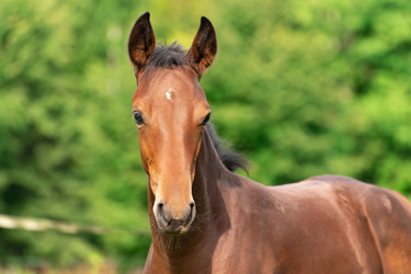 Similar image 21987548