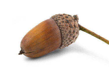 Similar image 21987550