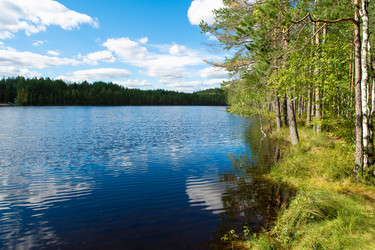 Similar image 21987551