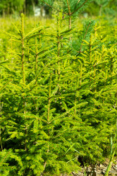 Similar image 21987561