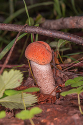 Similar image 21987563