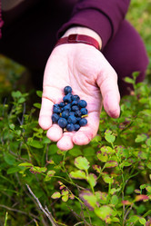 Similar image 21991717