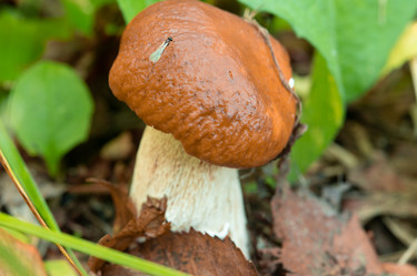 Similar image 21987077