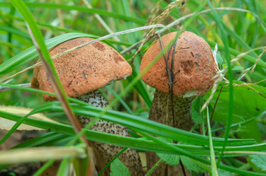 Similar image 21987079