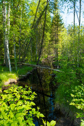 Similar image 21987086