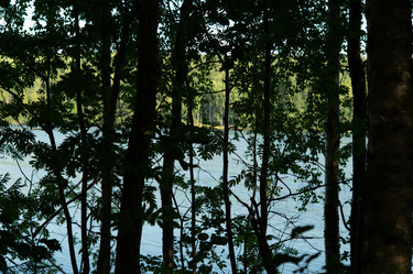 Similar image 21987087