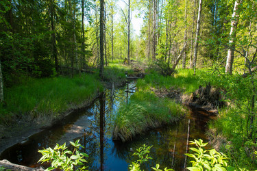 Similar image 21987088