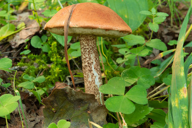 Similar image 21987089