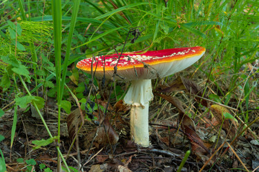 Similar image 21987090