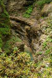 Similar image 21987304