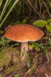 Similar image 21987305