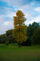 Similar image 21987099