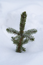 Similar image 21987101