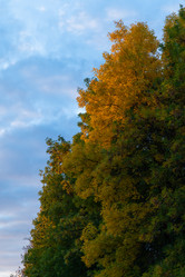 Similar image 21987312