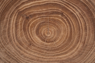 Similar image 21987313