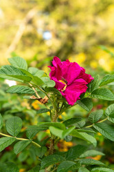 Similar image 21987314