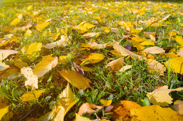 Similar image 21987317