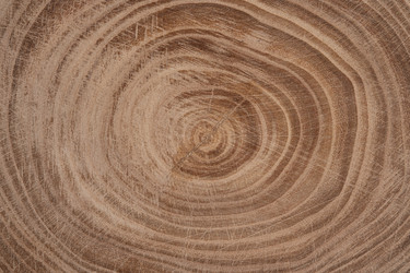 Similar image 21987318