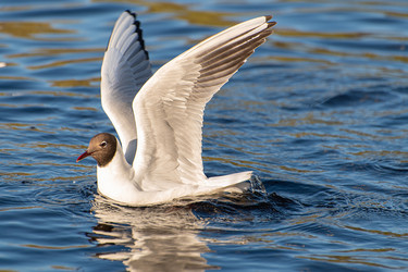 Similar image 21987332