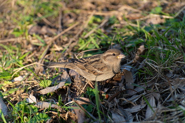 Similar image 21987334