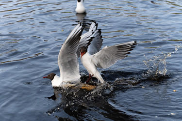 Similar image 21987336