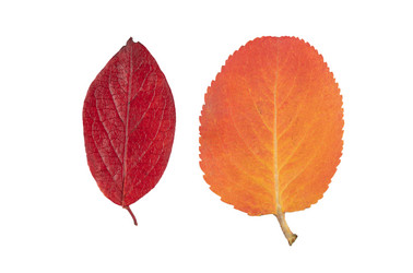 Similar image 21986616