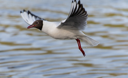 Similar image 21986617