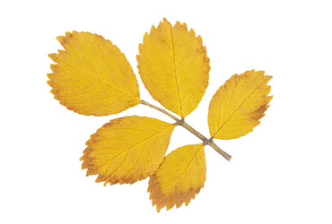 Similar image 21986618