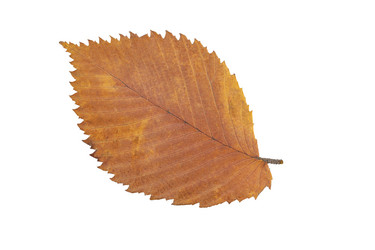 Similar image 21986620