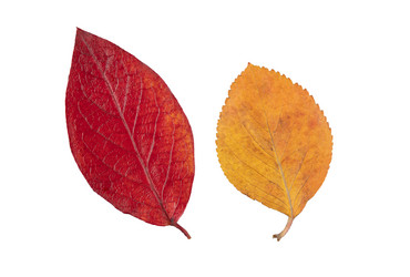 Similar image 21986622