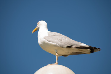 Similar image 21987791