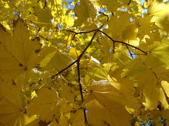 Similar image 21989002