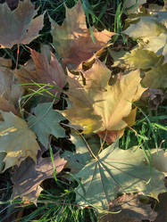 Similar image 21989003