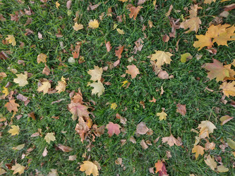 Similar image 21989004