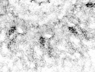 Similar image 21977334