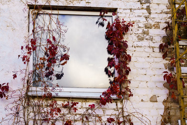 Similar image 21978525