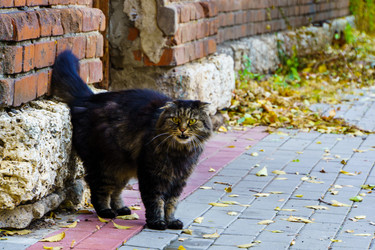 Similar image 21985993