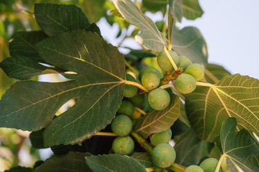 Similar image 21979661