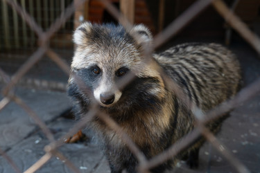 Similar image 21979662