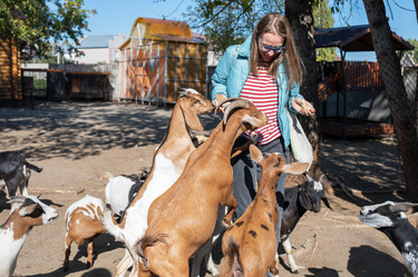 Similar image 21979663