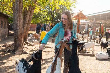 Similar image 21979664