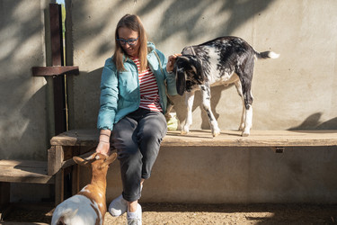 Similar image 21979665