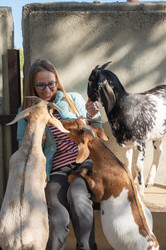 Similar image 21979666