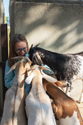 Similar image 21979667