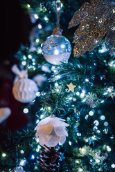 Similar image 21979673