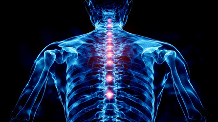 Similar image 21979051